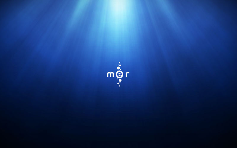 File:Mer-wazd logo-1920x1200.jpg